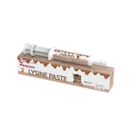 Merycare Lysine Paste